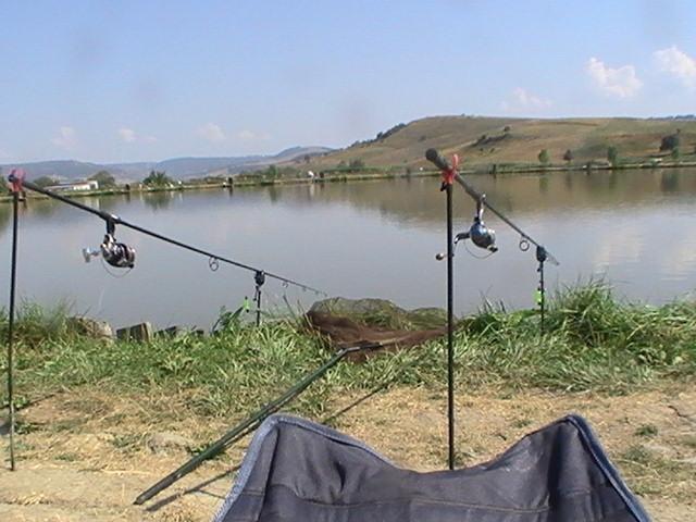 pestiiiiiiiiiiii - pic3798.JPG